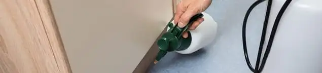 Bed bug exterminator treating baseboards and cracks with targeted spray in Tallahassee, FL