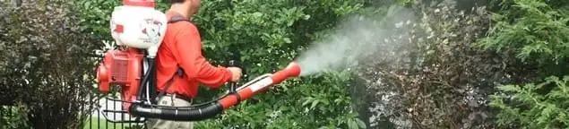 Mosquito control technician fogging shrubs and landscaping for mosquito treatment in Tallahassee, FL
