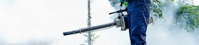 Pest control technician fogging an outdoor area for insect control in Tallahassee, FL