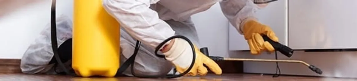 Roach exterminator treating cracks and crevices along kitchen baseboards in Tallahassee, FL