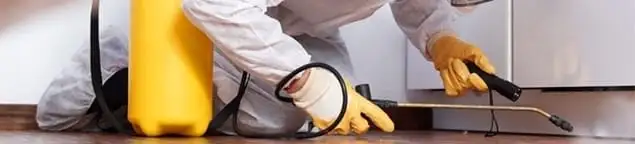 Roach exterminator treating cracks and crevices along kitchen baseboards in Tallahassee, FL