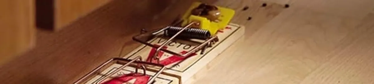 Rodent trap set indoors for rodent control and prevention in Tallahassee, FL